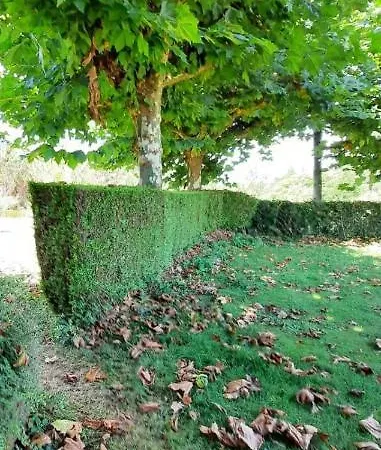 Appartement A Casa De Toxo *