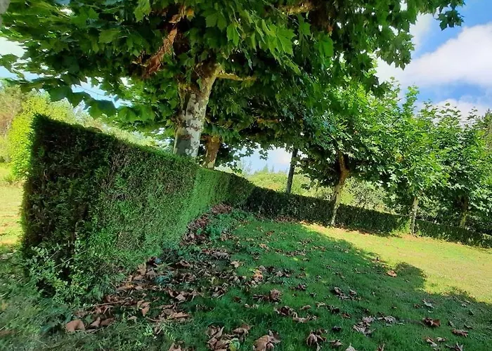 A Casa De Toxo Daire *