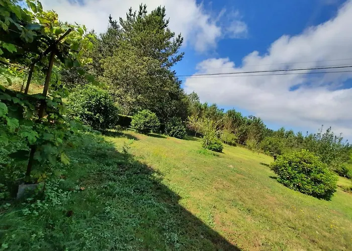 A Casa De Toxo O Pino