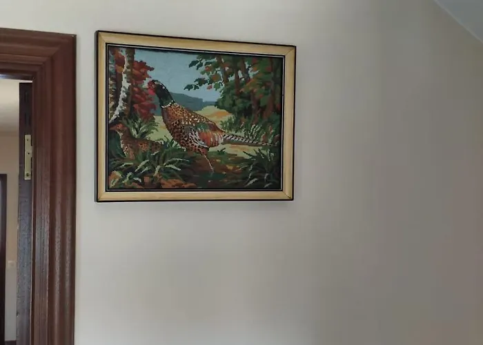 A Casa De Toxo Daire O Pino