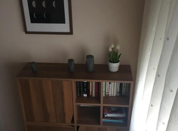 A Casa De Toxo Daire O Pino