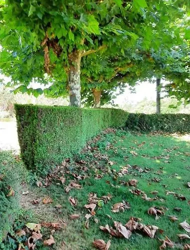 Daire A Casa De Toxo *